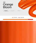 Orange Bloom PMU Mix Shader Pigment 10ml - Premium PhiSeller