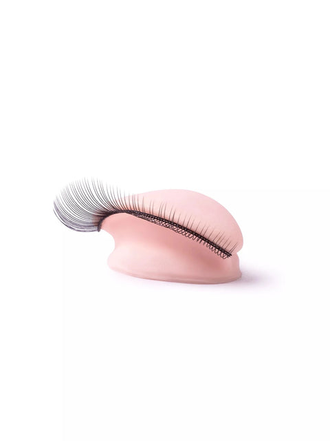 PhiLashes Head and Eyes - Premium PhiSeller