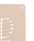 Practising Latex Printed Shape and Outlines 3pcs - Premium PhiSeller