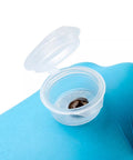 Self-Adhesive Pigment Container 50pcs - Premium PhiSeller